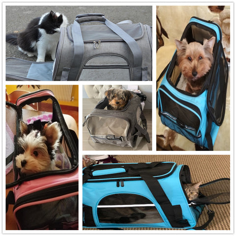 BEST QUALITY PETS CARRIER TRAVEL BAG | 2023 | BEST PRICE GUARANTEE AT BUY FROM SKY