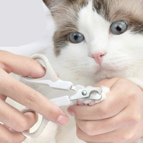 Nail Clippers For Small Dogs And Cats | buyfromsky.com