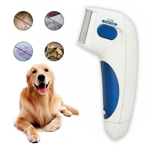 Pet Anti-Flea Comb For Dogs And Cats | buyfromsky.com