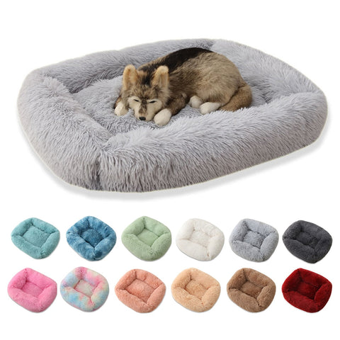 PLUSH PETS BED | 2023 | BEST PRICE GUARANTEE AT BUY FROM SKY
